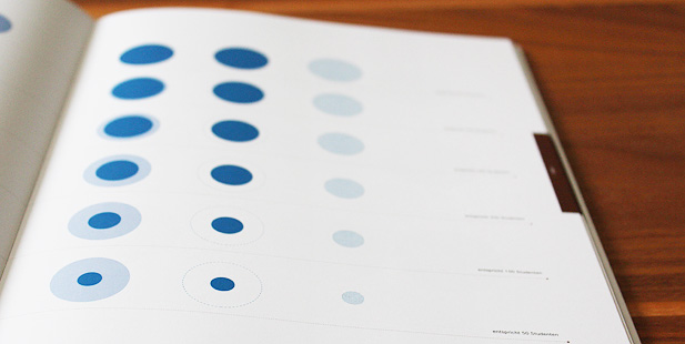 Diagramme – Bausteine für die Diagrammgestaltung	Sabine Blaser Vorschaubild