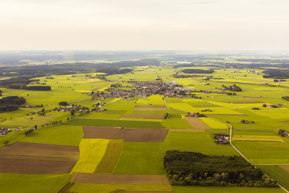 . Vorschaubild